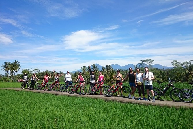 Half-Day Ubud Electric Cycling Tour to Tirta Empul Water Temple - An 8:00 am start from Ubud