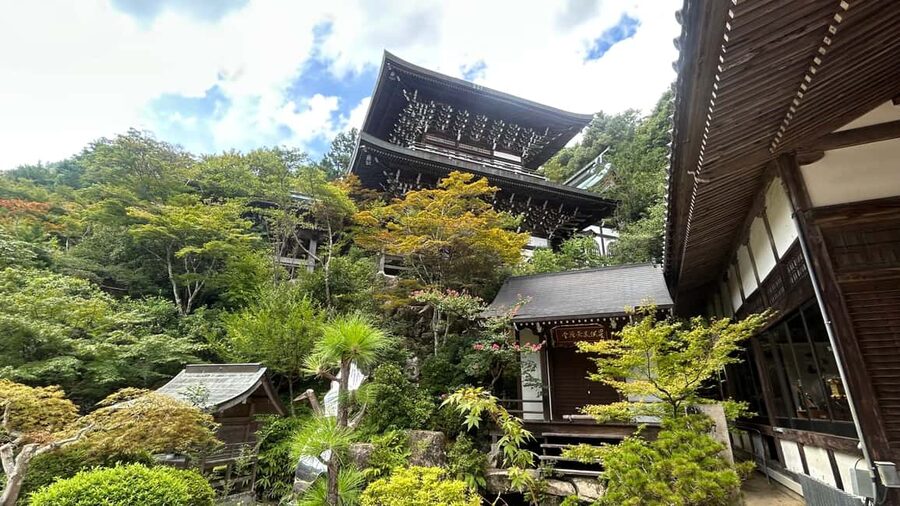 Hiroshima & Miyajima 6.5h Guided Tour – Dome, Park & Shrine - Who should book this Hiroshima day?