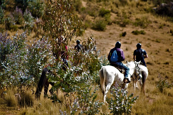 Horse Riding Chacan Mountain And Temple Of The Moon - Starting at the ranch with a carefully chosen horse