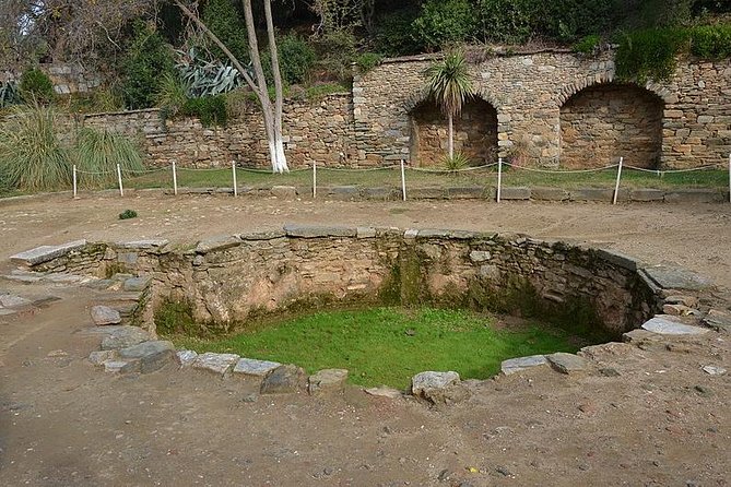 Izmir Shore Excursion: Private Tour to Ephesus, House of Virgin Mary and Temple of Artemis - Why this private Izmir tour makes sense