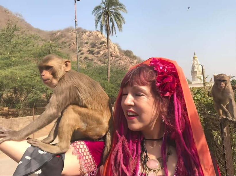 Jaipur: Explore City Sights, Amber Fort & Monkey Temple - Lunch and the taste of Rajasthan