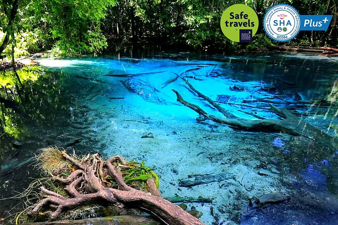 Jungle Tour to Emerald Pool, Krabi Hot Spring and Tiger Cave Temple - Starting with the warm water at Namtok Ron