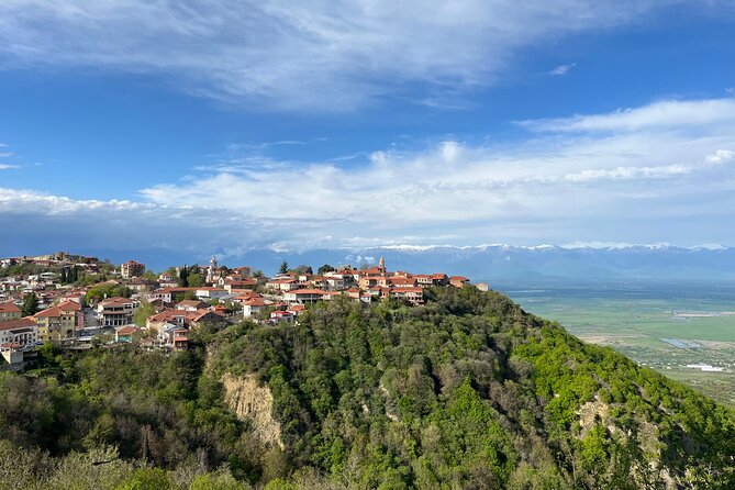 Kakheti-Sighnaghi Day Trip with wine tasting and Bodbe Monastery - The essential points at a glance