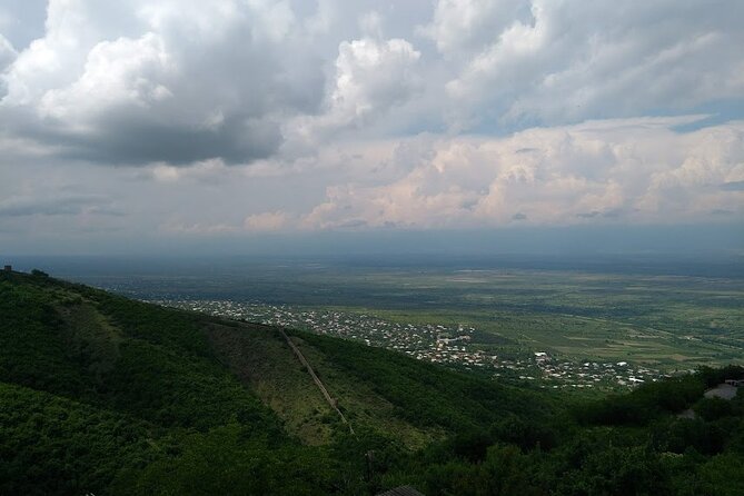 Kakheti-Sighnaghi Day Trip with wine tasting and Bodbe Monastery - Patardzeuli wine tasting: four wines and a measure of chacha