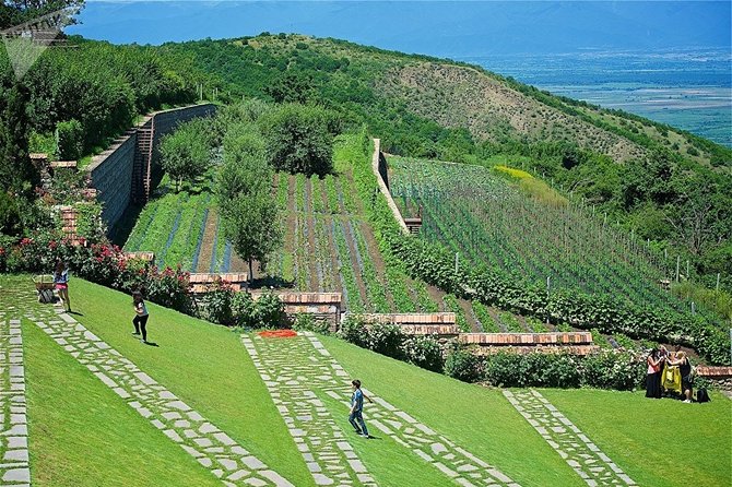 Kakheti: Signagi, Bodbe Monastery, Telavi, Wine Tour. Private tour - Khinkali, shoti bread, and a Kakheti feast