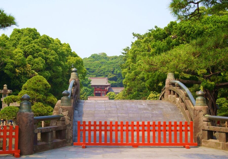 Kamakura: Great Buddha, Hase Temple, & Komachi Street Tour - What $530 is worth for a private group