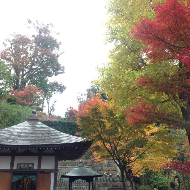 Kamakura: Great Buddha, Hase Temple, & Komachi Street Tour - Riding Enoden, Kamakura’s small local train