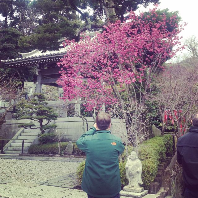 Kamakura: Great Buddha, Hase Temple, & Komachi Street Tour - Lunch and Kamakura’s local food
