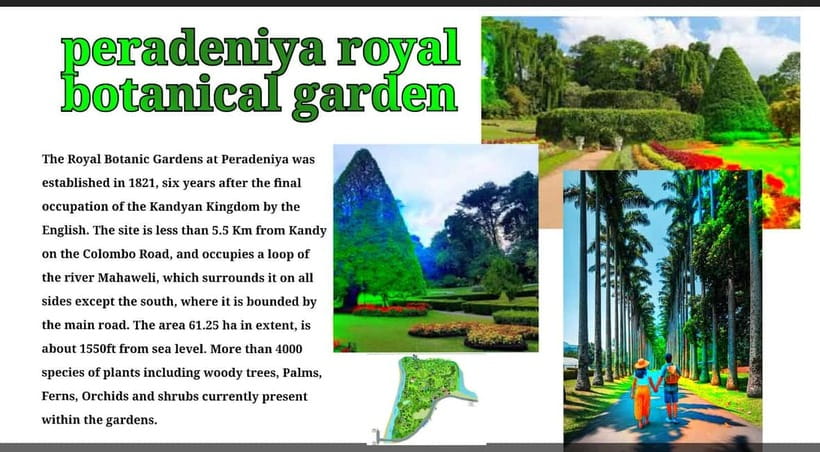 Kandy: City Tour with Temple of the Tooth & Tea Garden - Why this Kandy tour works so well