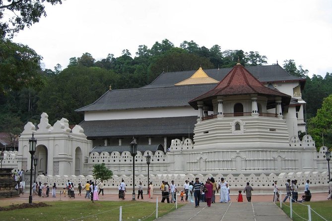 Kandy Day Trip with Tooth Relic Temple & Unique Attractions - Meeting the Temple Guide at Sri Dalada Maligawa