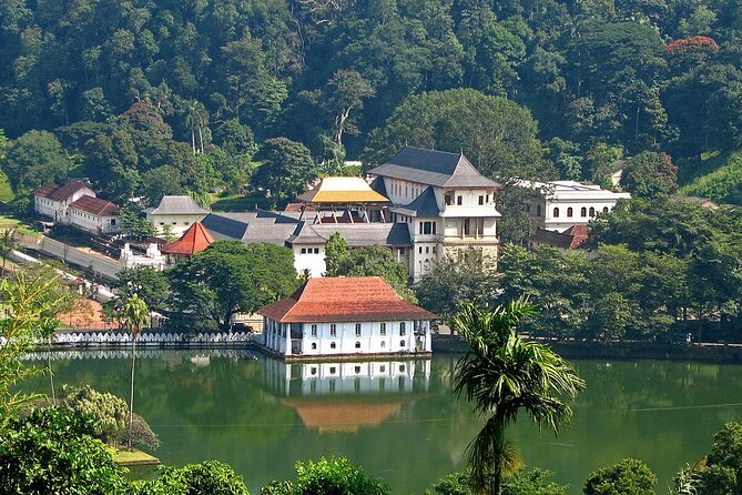 Kandy Day Trip with Tooth Relic Temple & Unique Attractions - Kadugannawa Tea Factory and Complimentary Tasting