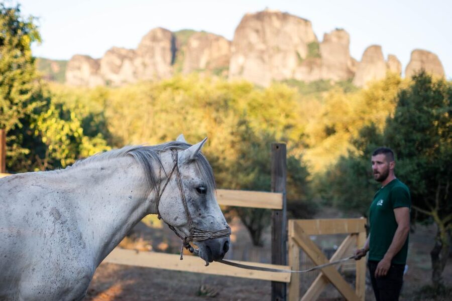 Kastraki: Meteora Morning Horse Riding with Monastery Visit - Price and what the $88 covers