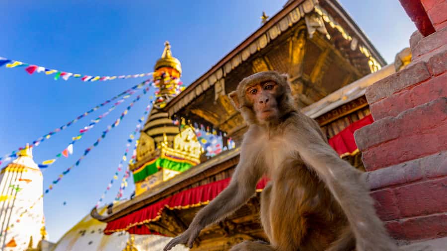 Kathmandu: Chandragiri Cable Car and Monkey Temple Tour - The 15-minute Chandragiri cable car ride