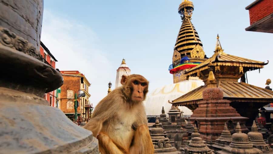 Kathmandu: Chandragiri Cable Car and Monkey Temple Tour - Optional zipline rides for a quick burst of speed