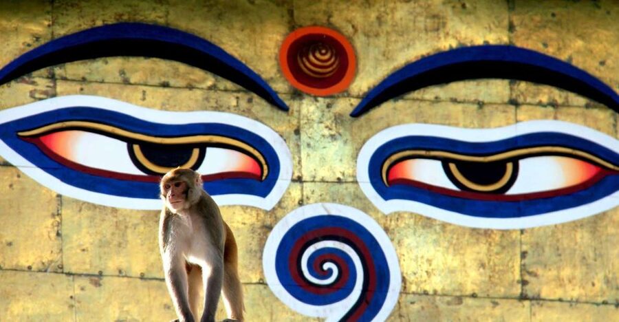 Kathmandu: Monkey Temple and Chandragiri Cable Car Ride Tour - Why this one-day pairing works
