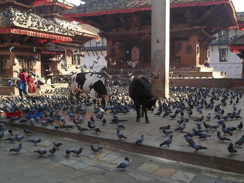 Kathmandu: Monkey Temple and Chandragiri Cable Car Ride Tour - The ride back and the move to Swoyambhunath
