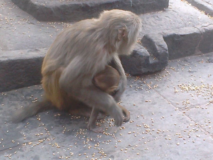 Kathmandu: Monkey Temple and Chandragiri Cable Car Ride Tour - Price, inclusions, and extra costs