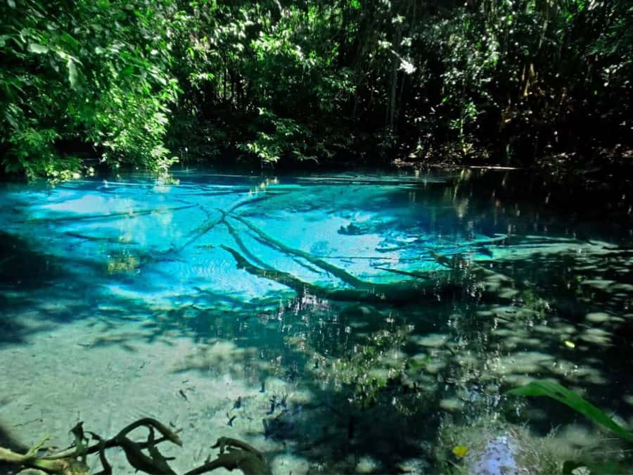 Ko Lanta: Full Day Emerald Pool&Hot Spring With Tiger Temple - Should you book the Emerald Pool and Tiger Cave Temple day?