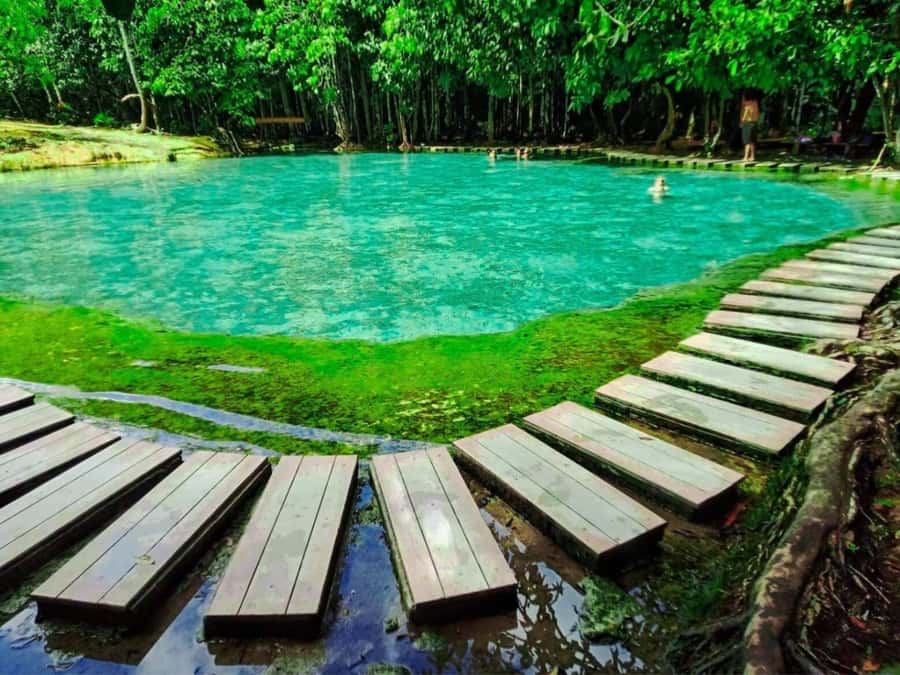 Ko Lanta: Full Day Emerald Pool&Hot Spring With Tiger Temple - What this full-day Krabi trip is really like