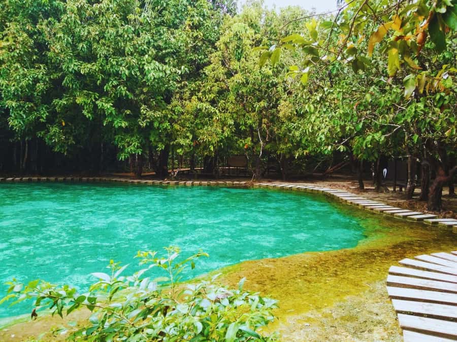 Ko Lanta: Full Day Emerald Pool&Hot Spring With Tiger Temple - Lunch gives the day a useful pause