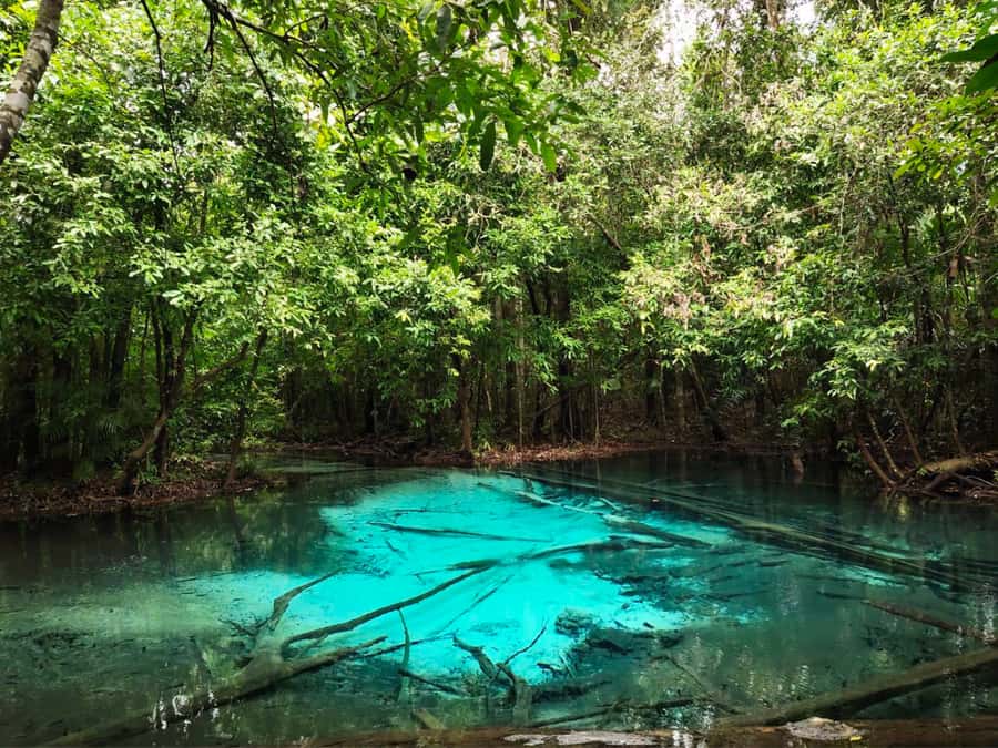 Ko Lanta: Full Day Emerald Pool&Hot Spring With Tiger Temple - Tiger Cave Temple saves the biggest challenge for last
