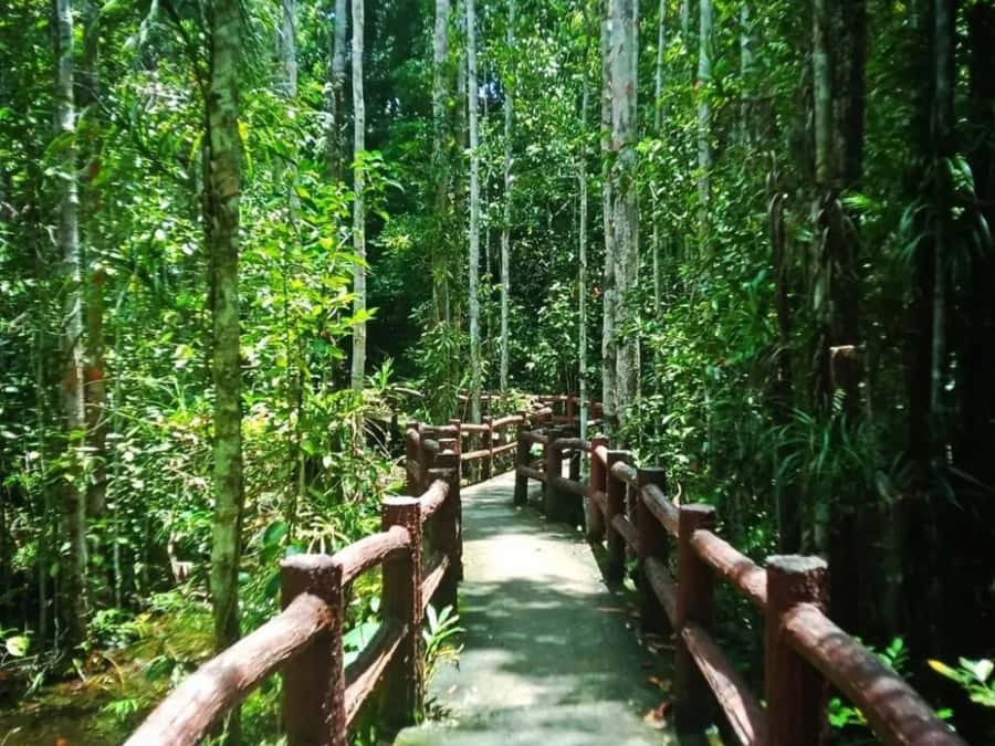 Ko Lanta: Full Day Emerald Pool&Hot Spring With Tiger Temple - The best and worst parts of the timing