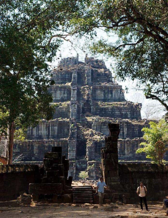 Koh Ker & Beng Mealea Temple Guided Tour - Beng Mealea, stone, roots, and shade