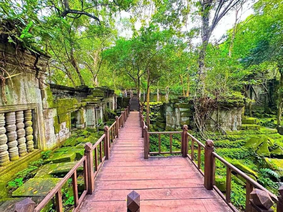 Koh Ker & Beng Mealea Temple Guided Tour - Koh Ker and the seven-tiered pyramid