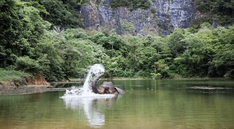 Krabi: Ethical Elephant Sanctuary & Tiger Cave Temple Tour - Why this Krabi pairing works