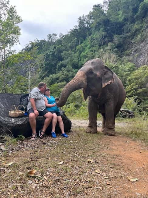 Krabi: Ethical Elephant Sanctuary & Tiger Cave Temple Tour - A simple Thai lunch between major stops