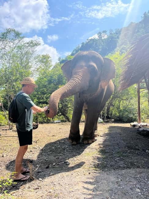 Krabi: Ethical Elephant Sanctuary & Tiger Cave Temple Tour - The value of hotel transfers and a local guide