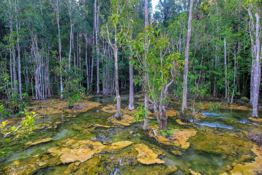 Krabi Outback Explorer with Visit of Tiger Cave Temple - What the $57 price really covers