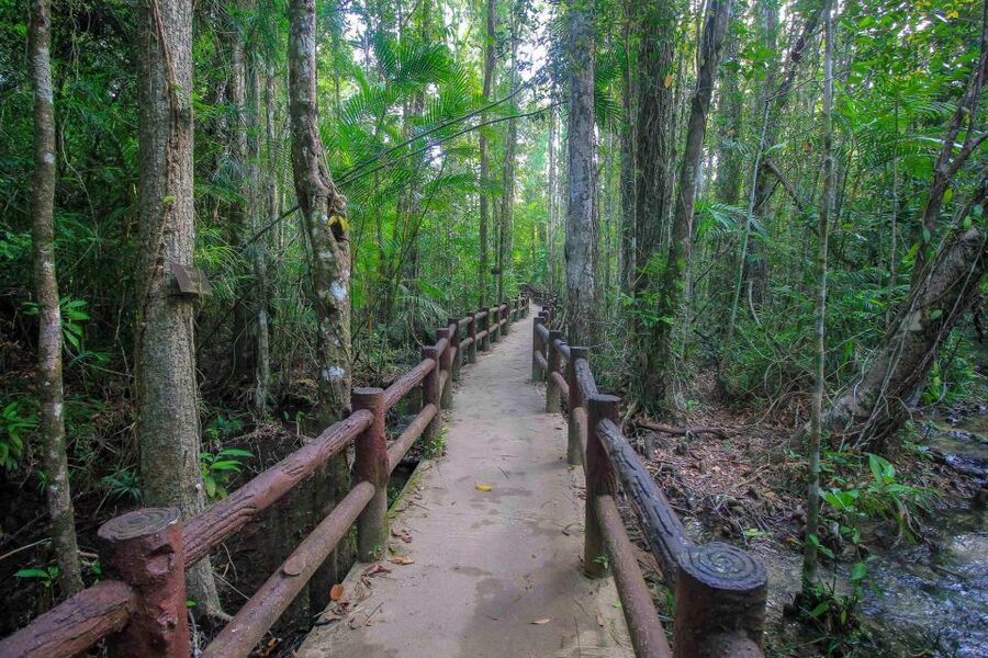 Krabi Outback Explorer with Visit of Tiger Cave Temple - Walking through Khao Pra Bang Khram Wildlife Sanctuary