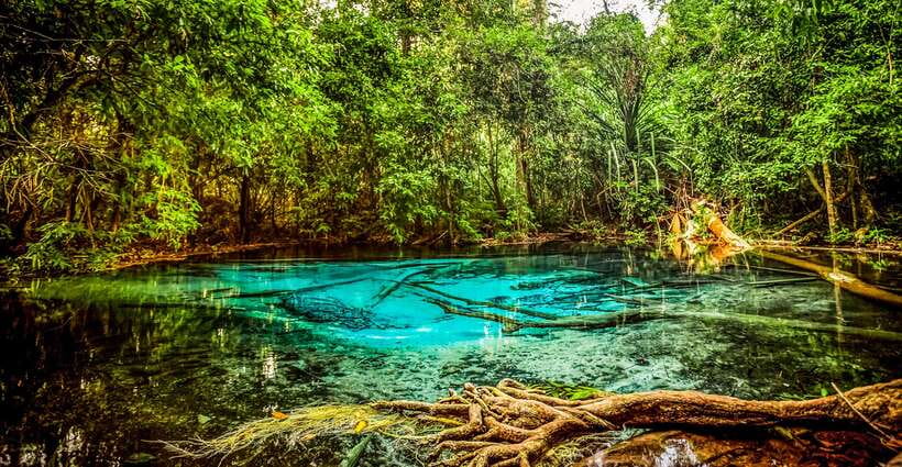 Krabi: Tiger Cave Temple, Emerald Pool and Hot Springs Tour - Timing, guides, and the small-group advantage