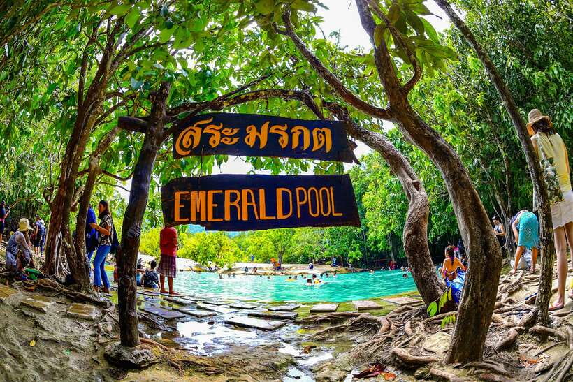 Krabi: Tiger Cave Temple, Emerald Pool and Hot Springs Tour - What the $59 price includes