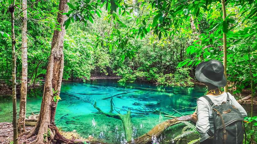 Krabi: Tiger Cave Temple, Emerald Pool and Hot Springs Tour - Emerald Pool: the best first stop