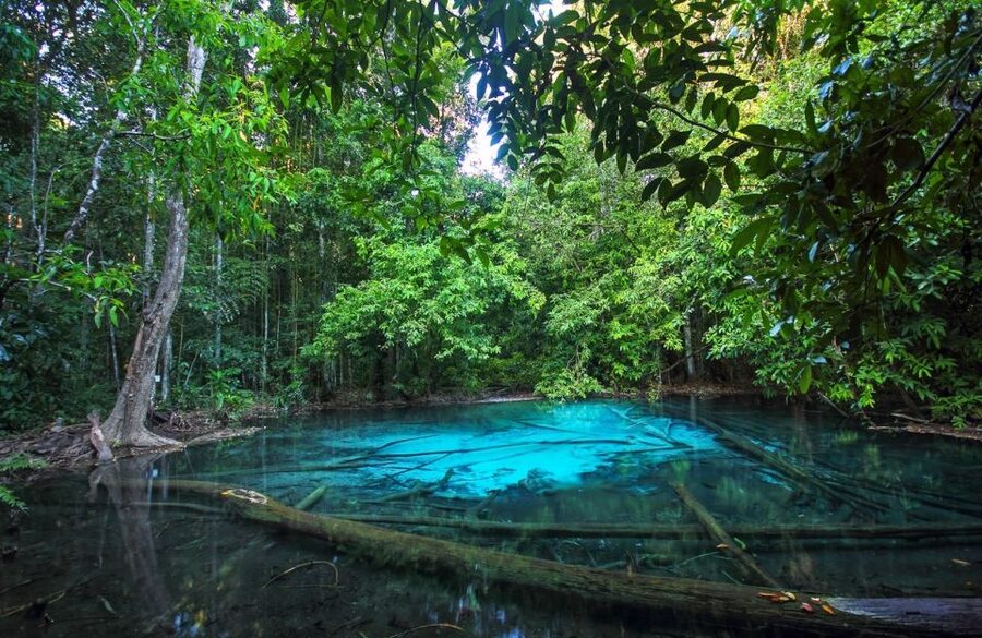 Krabi: Tiger Temple, Hot Springs & Crystal Pool Jungle Tour - What to bring and how to prepare