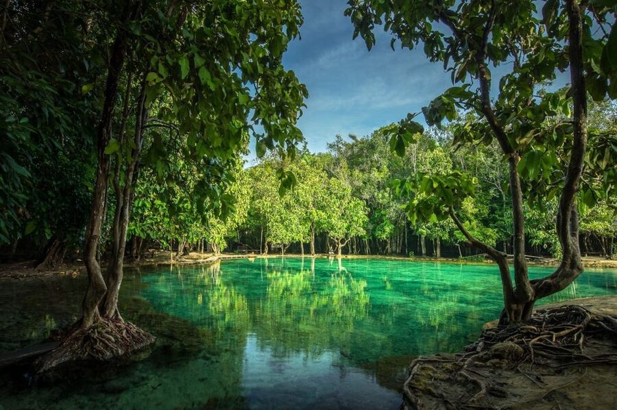 Krabi: Tiger Temple, Hot Springs & Crystal Pool Jungle Tour - Klong Thom hot springs and the 40°C waterfall
