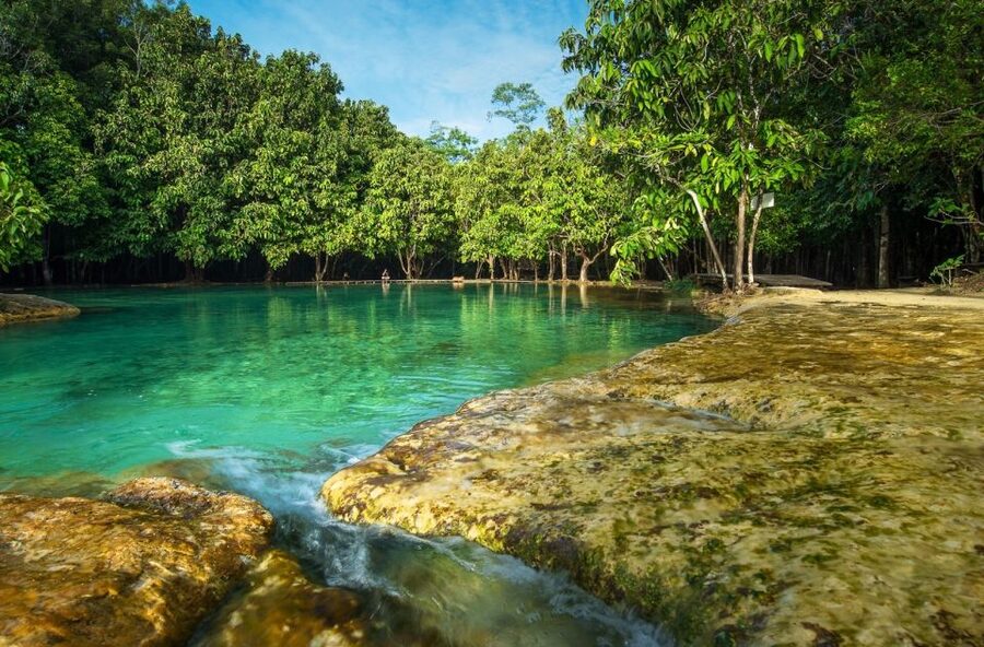 Krabi: Tiger Temple, Hot Springs & Crystal Pool Jungle Tour - Monkeys, snacks, and temple manners