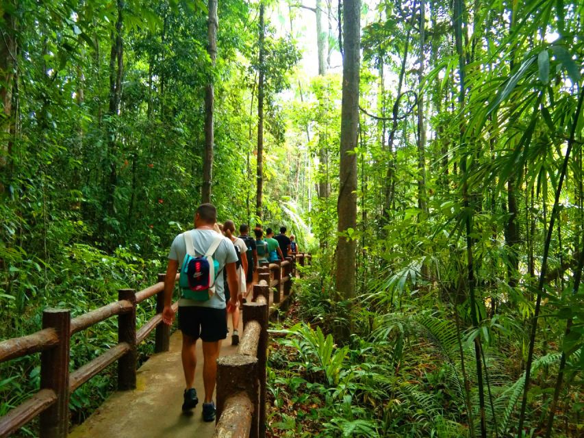 Krabi: Tiger Temple, Hot Springs & Crystal Pool Jungle Tour - Emerald Pool: a cool start in the forest