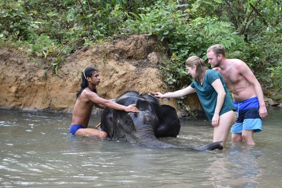 Krabi: Tour of Elephant Care House and Tiger Cave Temple - Key points to know before you book