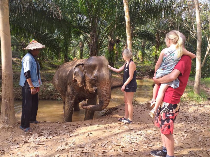 Krabi: Tour of Elephant Care House and Tiger Cave Temple - Why this combination works in Krabi