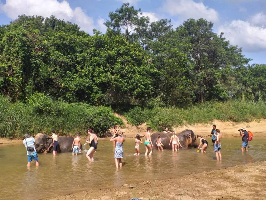 Krabi: Tour of Elephant Care House and Tiger Cave Temple - Walking beside elephants along the stream