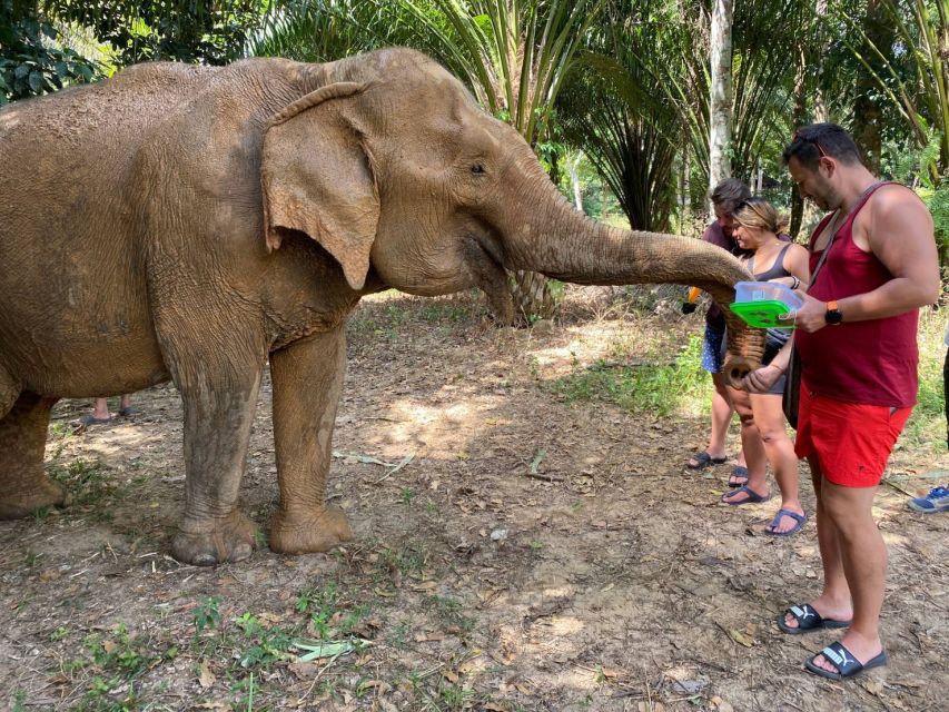 Krabi: Tour of Elephant Care House and Tiger Cave Temple - What makes the animal encounter feel responsible