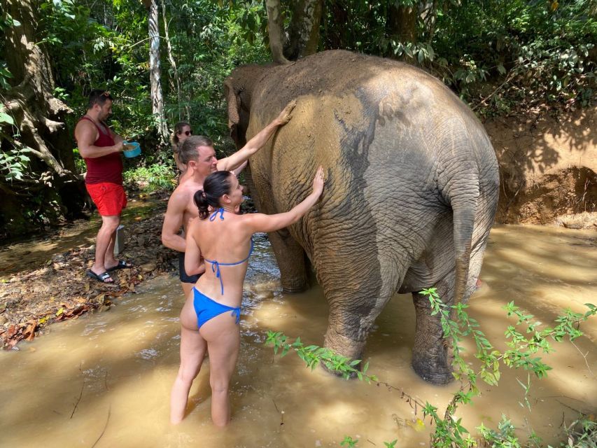 Krabi: Tour of Elephant Care House and Tiger Cave Temple - Tiger Cave Temple and the 1,237-step test