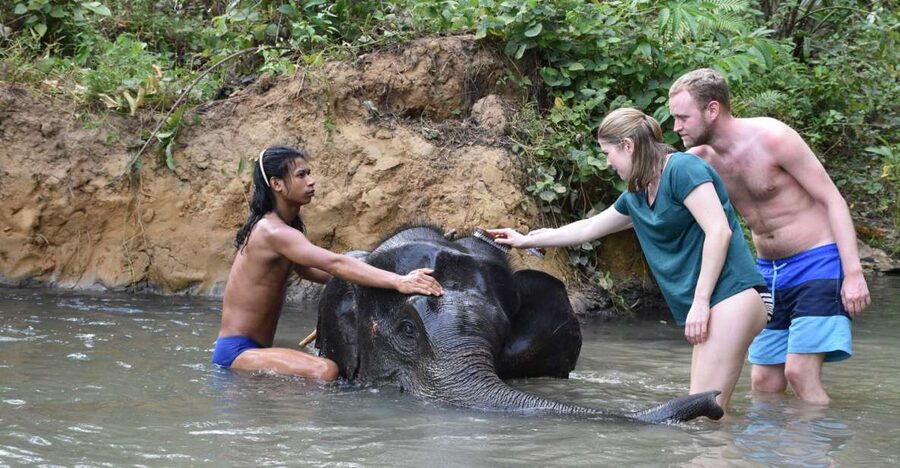 Krabi: Tour of Elephant Care House and Tiger Cave Temple - Arriving at the Elephant Care House