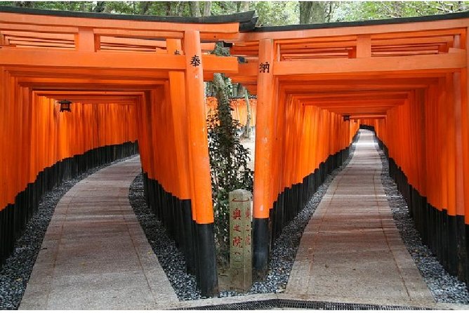 Kyoto 1 Day Tour from Kyoto - Fushimi Inari and the red torii gates