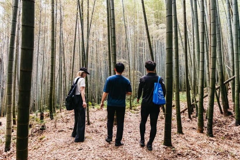 Kyoto: 3-Hour Fushimi Inari Shrine Hidden Hiking Tour - The forested descent and second bamboo area
