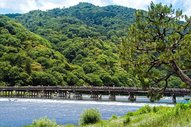 Kyoto: Arashiyama Bamboo Forest, Monkeys, Matcha & Temple Tour - Key points to know before booking