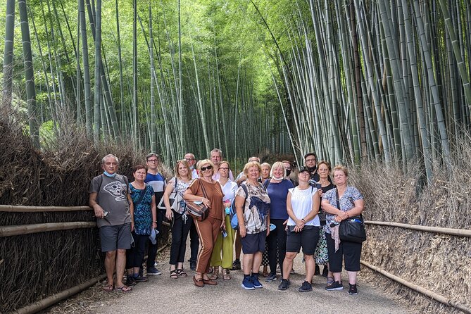 Kyoto: Arashiyama Bamboo, Temple, Matcha, Monkeys & secret spots - Okochi Sanso Garden and matcha time
